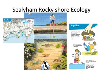 Rocky shore ecology