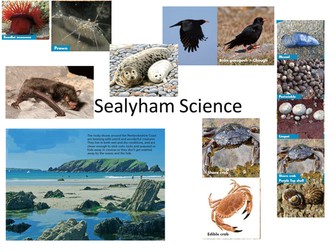 Classification of animals and Rock pool habitats