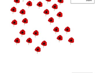 Counting in 2's - Poppies