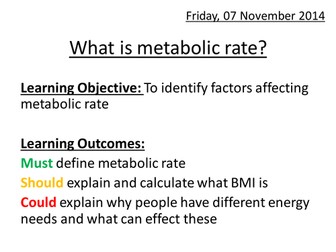 What is metabolic rate?
