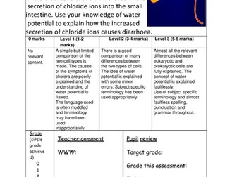 Cholera assessment