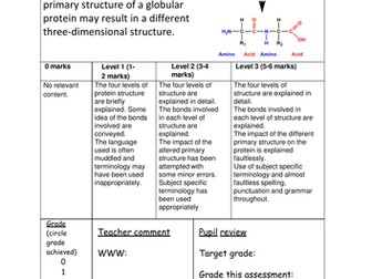 protein structure assessment