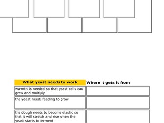 How yeast works worksheet