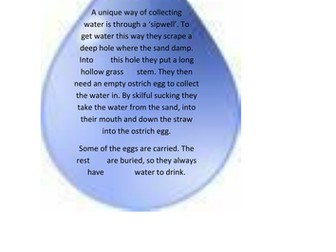 Life in the Kalahari