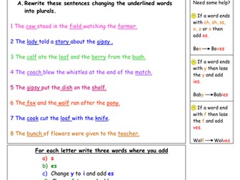 Plurals worksheet