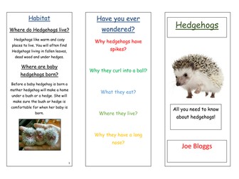 Hedgehog information leaflet