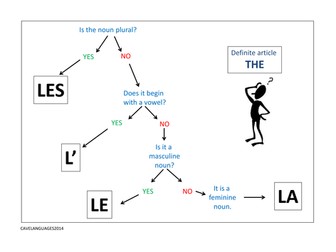 French Definite Article Flow Chart