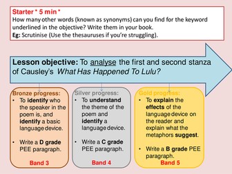 Outstanding Ofsted lesson. Causley's Lulu