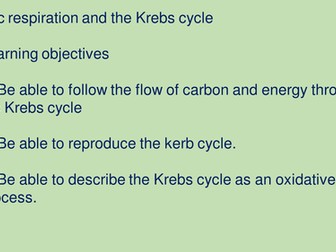 Overview of the Krebs cycle