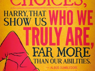 Harry Potter Display Quotes