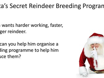 Christmas Inheritance