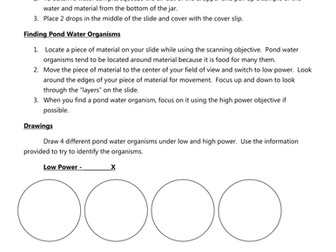 Pond Water Lab Worksheet - Nidecmege