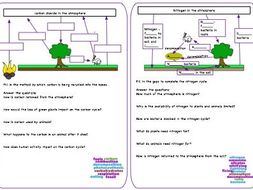 Carbon and Nitrogen cycle revision sheet | Teaching Resources