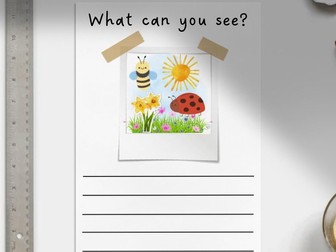 What Can You See? - Minibeast