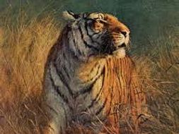 ‘The Tyger’ PPT - William Blake