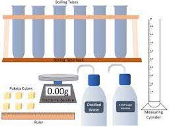 Osmosis Required Practical RPA