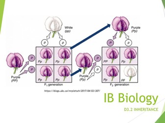 IB Biology 2025 syllabus Topic D3.2