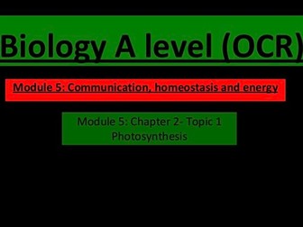 Photosynthesis (A level biology)