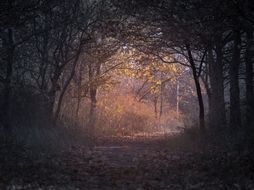 AQA The Darkness Out There Post Reading Study of Contexts and Writer's Purposes