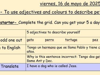 Year 7 Spanish- lesson 13- To use adjectives and colours to describe pets