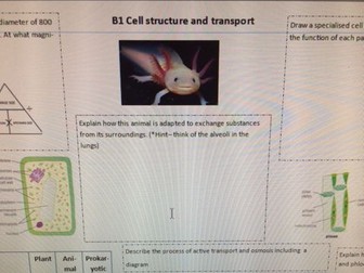 *NEW* AQA B1-B4 Placemats