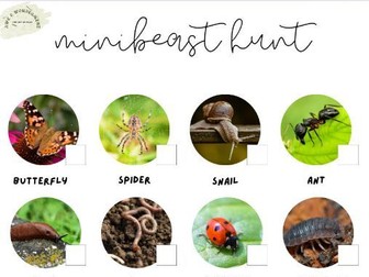 Minibeast Hunt