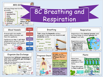 8C Breathing and Respiration *BUNDLE* Exploring Science