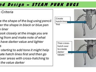 Art and Design - KS3 - Bug Unit - Lesson two-Exploring tone through hatching