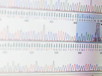A level Biology OCR Manipulating genomes -Bioinformatics and Genomics