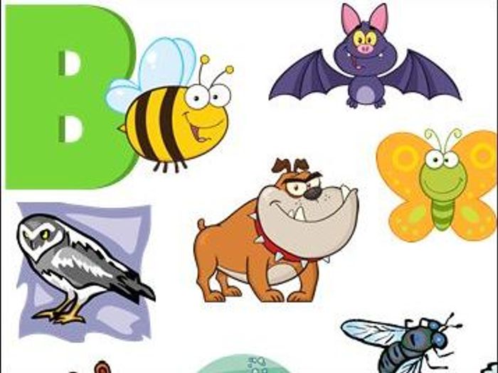 20 Animals That Begin With The Letter B | Teaching Resources