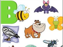 20 Animals that begin with the Letter B | Teaching Resources