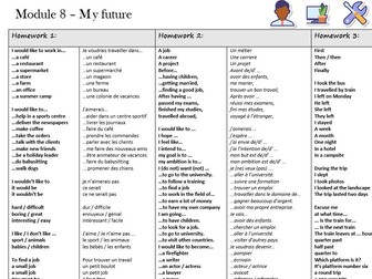 New GCSE French vocabulary - Module 8 Mes projets d'avenir