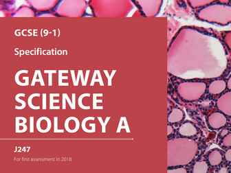 OCR Gateway Biology GCSE Revision powerpoints