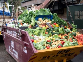 Food Waste - The world's dumbest problem