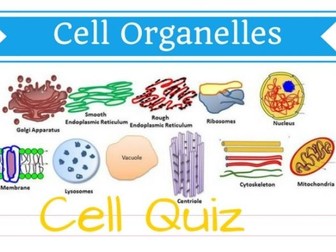 Year 7 Science -Unit 1 Cells    worksheet