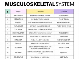 Musculoskeletal System Vocabulary Worksheet