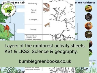 Layers of a Rainforest Matching Activity