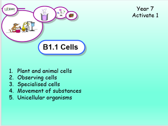 Year 7 Cells - Ppt and worksheets
