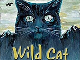Wild Cat (Collins Big Cat Readers)