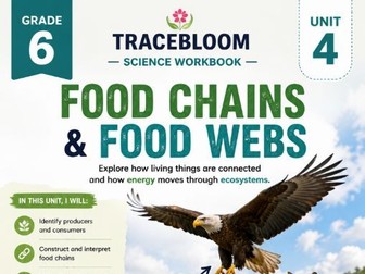 Grade 6 Science Food Chains & Food Webs Unit Challenge | Ecosystems Worksheet