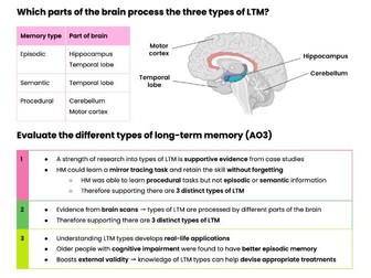 Memory - AQA A-Level Psychology Revision Notes (Unit 2)