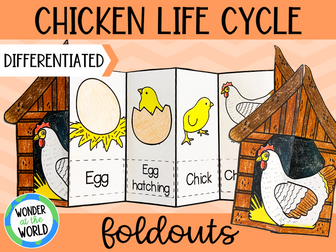 Life cycle of a chicken foldable science craft