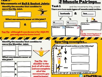 GCSE PE MusculoSkeletal Revision Tasks