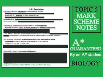 Full Marks Guide: AQA A Level Biology T5: Energy transfers in and between organisms