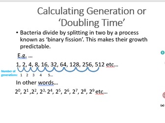 Logarithmic bacterial growth