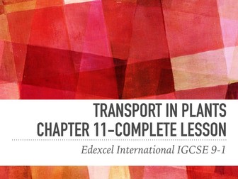 International IGCSE Biology 9-1 - Transport in plants chapter 11 - complete lesson