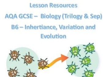 lesson_classification_AQA GCSE