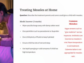 Child Development 2025 Exam Paper Feedback Bundle