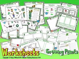 Growing Plants – Worksheets | Teaching Resources