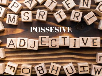 Possesive  adjectives Winter/ Christmas